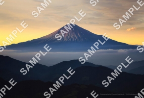 初夏の富士山と雲海の夕景