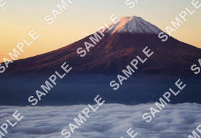 早朝の雲海と富士山