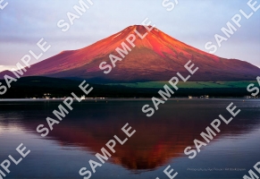朝日を浴びる富士山と山中湖