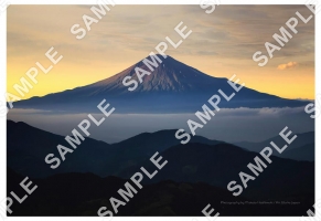 初夏の富士山と雲海の夕景