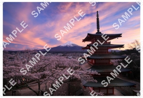 桜と五重塔と富士山の夕景