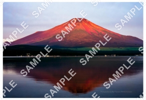 朝日を浴びる富士山と山中湖