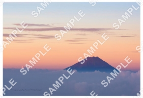 夜明けの雲海に浮かぶ富士山