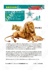 動物百科事典ライオン