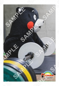{
    "id": 23469,
    "reserve_number": "KMMN0005",
    "user_id": "7dc-knk-kmmn",
    "products_name": "\u80cc\u7b4b\u30de\u30c3\u30b9\u30eb\uff01\uff1c\u7e01\u3042\u308a\uff1e",
    "format_size": "L \u30b5\u30a4\u30ba(JPEG \u306e\u307f)",
    "oldsys_created": "2022-08-19T16:19:00+09:00",
    "launch_start_date": "2022-08-24T00:00:00+09:00",
    "launch_end_date": "2037-08-31T23:59:59+09:00",
    "display_start_date": "2022-10-28T00:00:00+09:00",
    "search_free_word": "",
    "all_page_count": 1,
    "price_per_one": 300,
    "f_delete": false,
    "account_id": 2,
    "created": "2022-11-18T15:20:25+09:00",
    "modifiied": "2022-11-18T15:20:25+09:00",
    "title": {
        "id": 593,
        "user_id": "7dc-knk-kmmn",
        "contents_title": "\u304f\u307e\u30e2\u30f3\u306e\u30d6\u30ed\u30de\u30a4\u30c9",
        "parent_titles_id": 1576,
        "f_publish": true,
        "start_date": "2022-11-18T00:00:00+09:00",
        "end_date": "2037-08-31T23:59:00+09:00",
        "oldsys_created": "2022-08-17T12:26:54+09:00",
        "image_file_name_cg": "7dc-knk-kmmn-title.jpg",
        "image_file_name_th": "7dc-knk-kmmn-thumbnail.jpg",
        "f_delete": false,
        "f_slider": false,
        "f_recommends1": false,
        "f_recommends2": false,
        "account_id": 2,
        "created": "2022-11-10T10:37:24+09:00",
        "modifiied": "2022-11-18T15:20:25+09:00"
    }
} -> products_name
