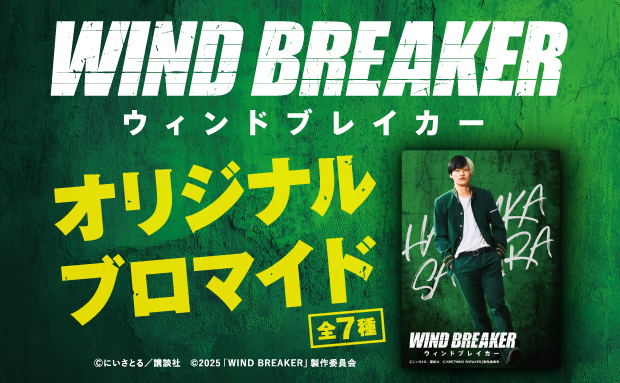 映画『WIND BREAKER／ウィンドブレイカー』オリジナルブロマイド【L】