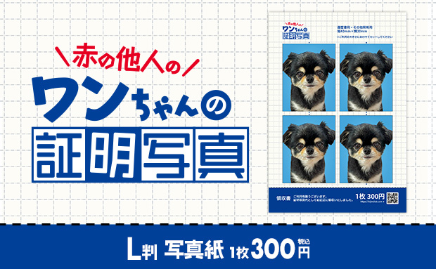 赤の他人のワンちゃんの証明写真