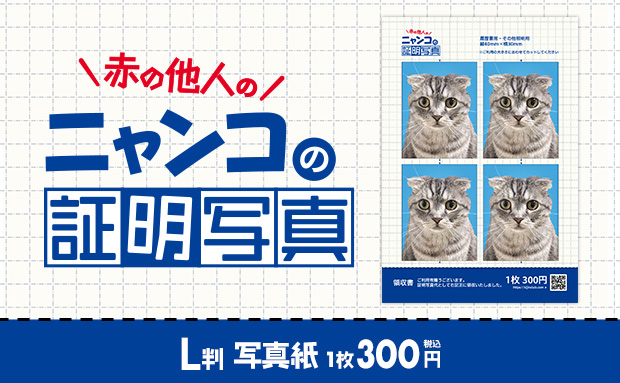 赤の他人のニャンコの証明写真