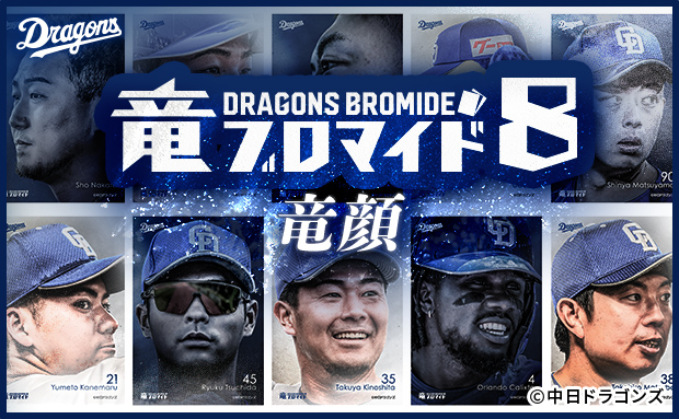 竜ブロマイド8　竜顔